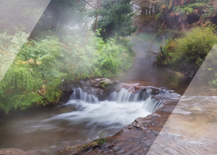 ​Zoeller Pump’s NEW Environmental Products Offering image
