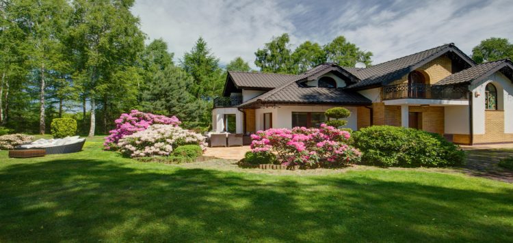 Utility Room Turned Bathroom with the Qwik Jon Premier image